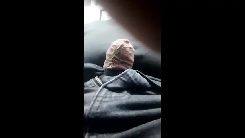 timotolkihache — timotolkihache