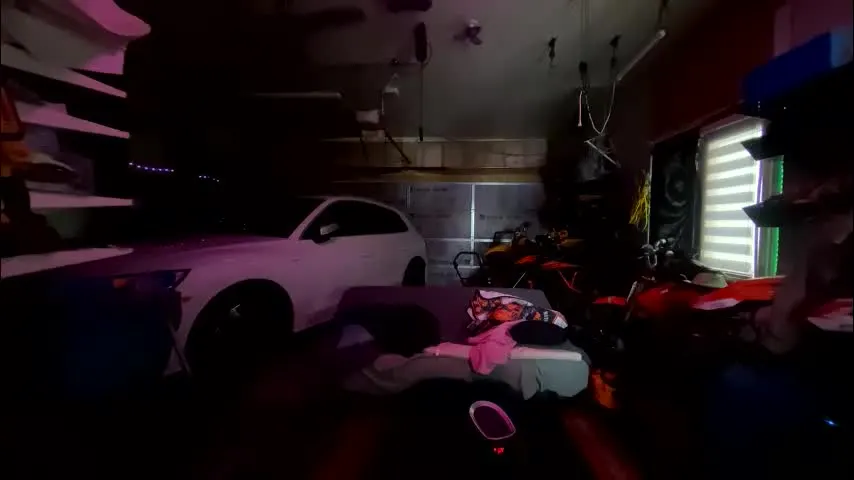 wills4pleasure — wills4pleasure