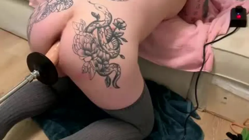 annacote178 — annacote178