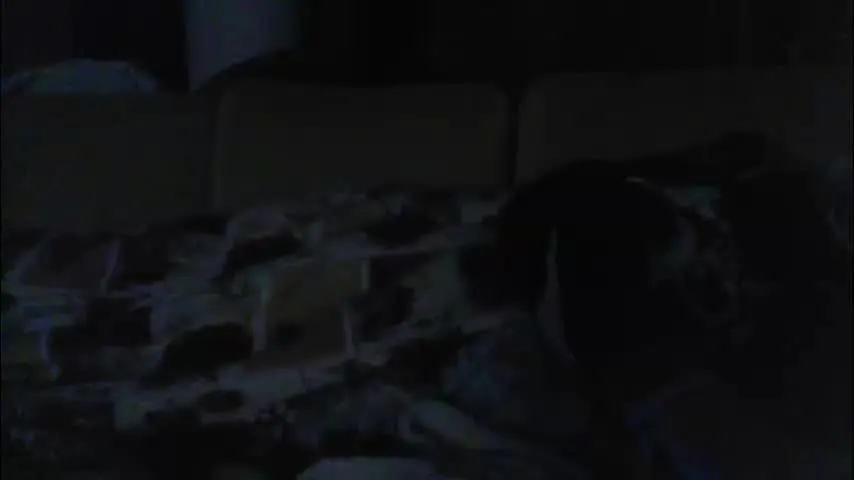 pallavolista73 — Goal: ❤️dildo ass💃 #dance #twerk #party - Next Goal: ❤️Show all body👙