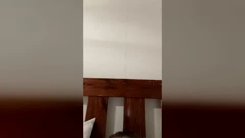 Anteprima in diretta di 38maa