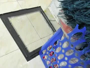 alishagoddes live stage