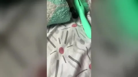 Živý náhled pro ashleybubble