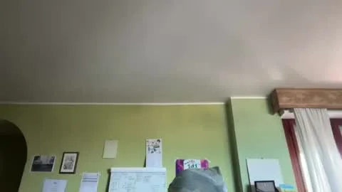 Miniatura en vivo para aurataint
