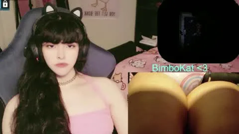 Live thumbnail for bimbocat