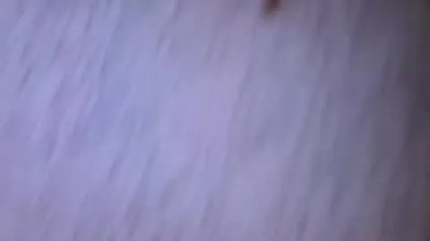 الصورة المصغّرة المباشرة لـ buba4th