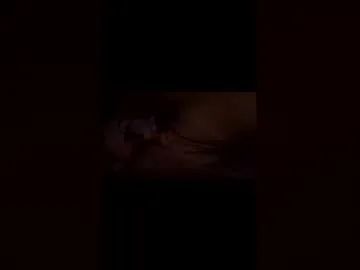 christopherray5198 live stage