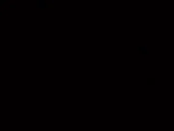 crzcrz live act