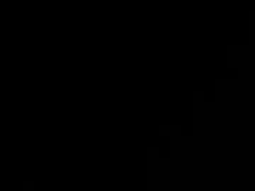 Photo of denzoeca
