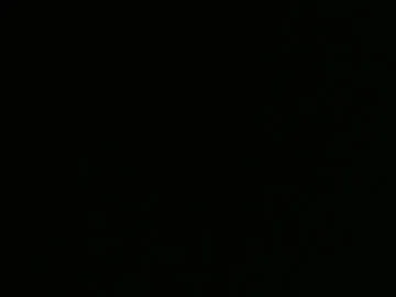 devin255395 live stage
