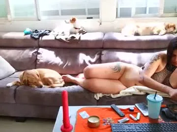 eldad3371 live stage