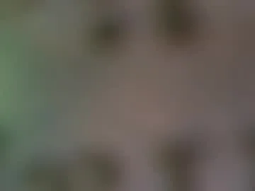 hellohowareyou66 live stage