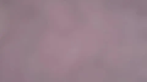 Live-Vorschaubild von himarika