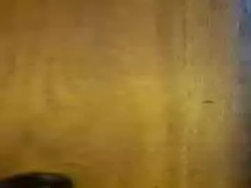iluvcat00000 live stage
