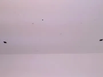 kendallreeds live stage