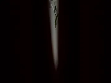 never_imagined_in_my_life live stage