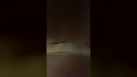 Ζωντανή μικρογραφία για pluhring89