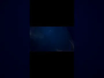 sandrolickyou live stage