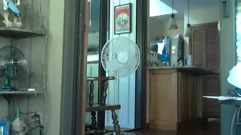 Live thumbnail for sharkey644