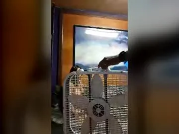 slutlifelovers live stage