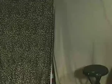 snizniz live stage