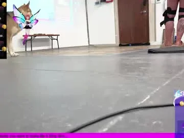 stacytasteme live stage