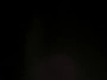 Photo of stargazor