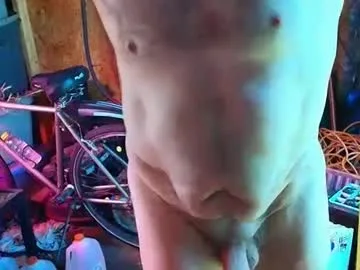 tacozod live stage