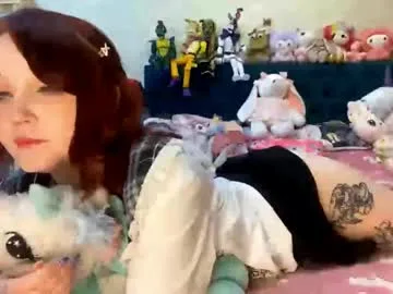 takakostent live stage