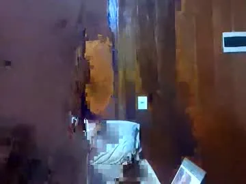 the_dirty_fox live stage