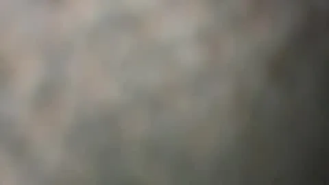 Miniatura ao vivo para tightmami