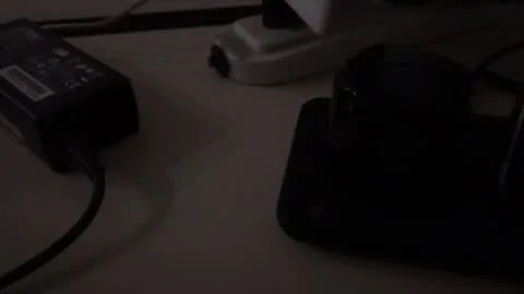 Elävä pikkukuva xavier010200
